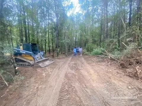 8 55 Acres Hwy 4, Jay, FL 32565