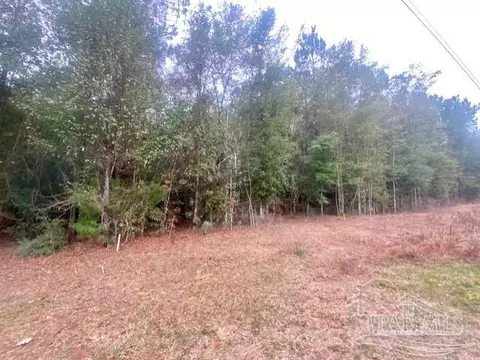 8 55 Acres Hwy 4, Jay, FL 32565 photo 4