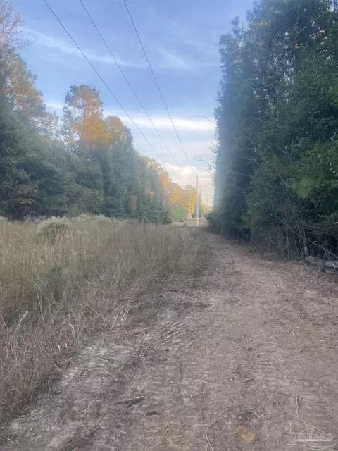 8 55 Acres Hwy 4, Jay, FL 32565 photo 6