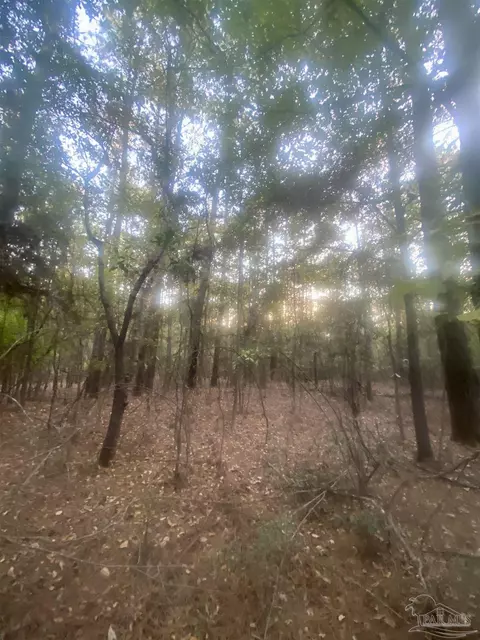 8 55 Acres Hwy 4, Jay, FL 32565 photo 8