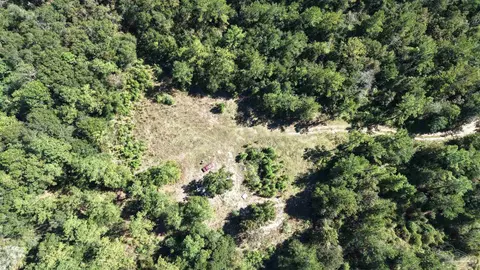 0000 Sid Hayes Rd, Jay, FL 32565 photo 3