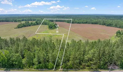 lot58 Mineral Springs Rd, Jay, FL 32565