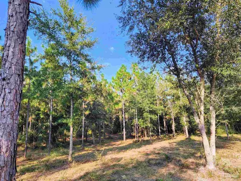3404 Yellow Hammer Rd, Pace, FL 32571 photo 14