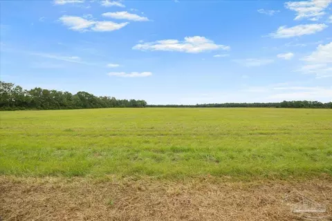 Molino Bridge Rd, Pace, FL 32571 photo 16
