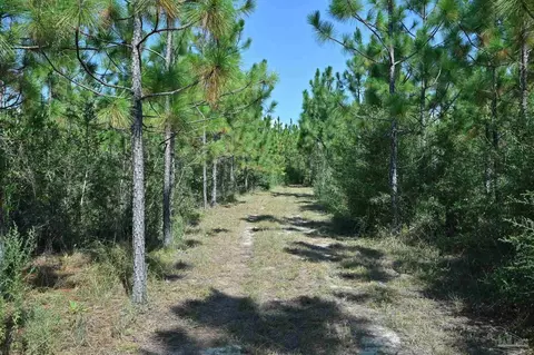 2597 Creek Chase Trl, Pace, FL 32571 photo 5