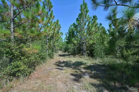 2597 Creek Chase Trl, Pace, FL 32571 photo 6