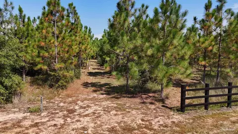 2597 Creek Chase Trl, Pace, FL 32571 photo 2