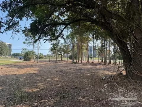14124 River Rd, Perdido Key, FL 32507 photo 6
