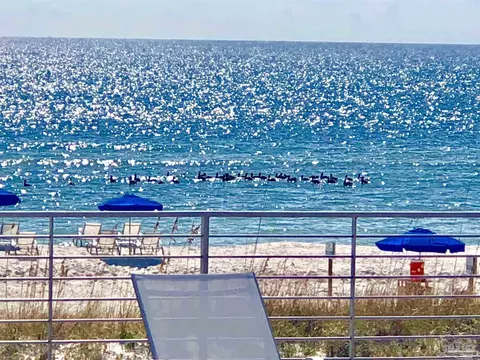645 Lost Key Dr #206-D, Pensacola, FL 32507