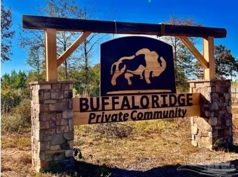 lot17 Bs Buffalo Ridge Rd, Pace, FL 32571