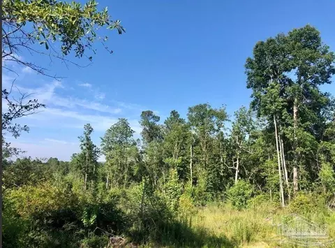 lot17 Bs Buffalo Ridge Rd, Pace, FL 32571 photo 4