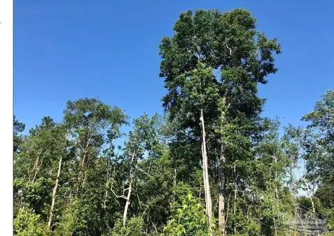 lot17 Bs Buffalo Ridge Rd, Pace, FL 32571 photo 5
