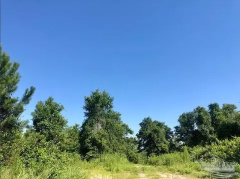 lot17 Bs Buffalo Ridge Rd, Pace, FL 32571 photo 6