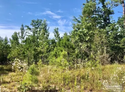 lot17 Bs Buffalo Ridge Rd, Pace, FL 32571 photo 3