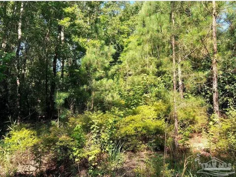 lot17 Bs Buffalo Ridge Rd, Pace, FL 32571 photo 8