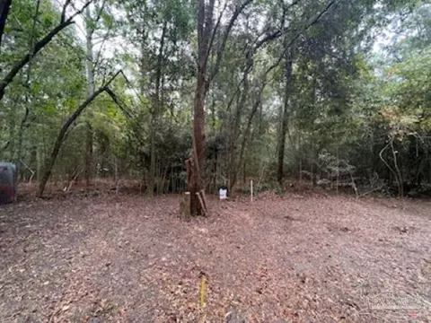 1329 Beaver Dam Ln, Bonifay, FL 32425