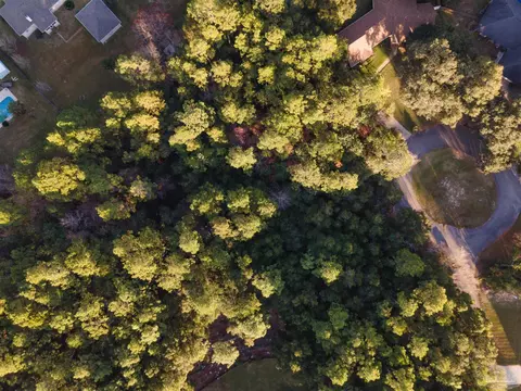 Amber Way, Pace, FL 32571 photo 3