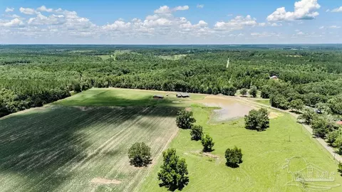22 Preacher Ln, Jay, FL 32565 photo 18