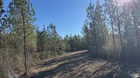 lot56 Straw Bridge Rd, Jay, FL 32565 photo 3