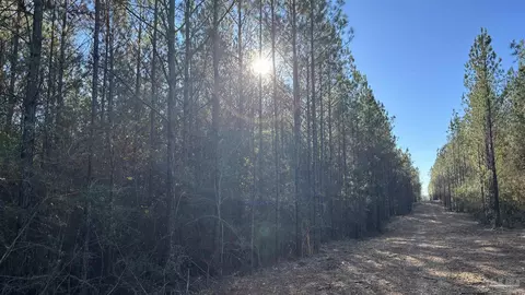 lot57 Straw Bridge Rd, Jay, FL 32565 photo 2