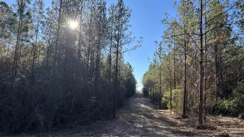 lot57 Straw Bridge Rd, Jay, FL 32565 photo 3