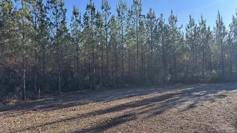 lot57 Straw Bridge Rd, Jay, FL 32565 photo 4