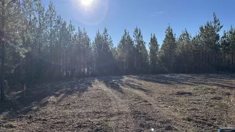 lot57 Straw Bridge Rd, Jay, FL 32565 photo 5