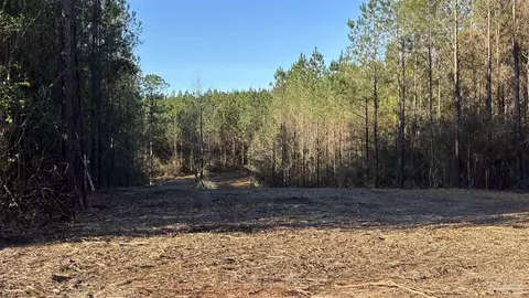 lot58 Straw Bridge Rd, Allentown, FL 32565