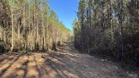 lot59 Straw Bridge Rd, Jay, FL 32565 photo 4