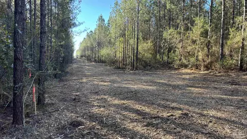lot59 Straw Bridge Rd, Jay, FL 32565 photo 6