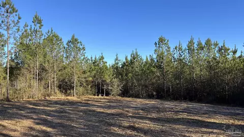 lot59 Straw Bridge Rd, Jay, FL 32565 photo 2