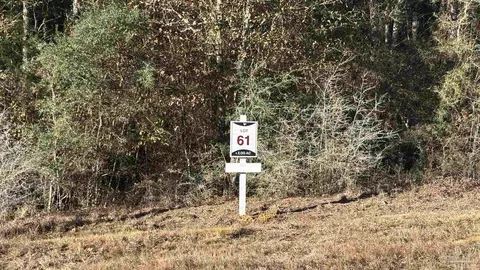 lot61 Straw Bridge Rd, Allentown, FL 32565