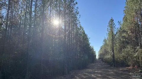 lot62 Straw Bridge Rd, Jay, FL 32565 photo 4