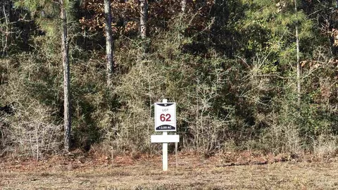 lot62 Straw Bridge Rd, Allentown, FL 32565