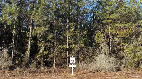 lot63 Straw Bridge Rd, Allentown, FL 32565