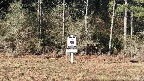lot65 Straw Bridge Rd, Allentown, FL 32565