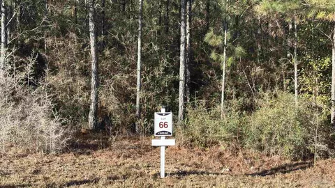 lot66 Straw Bridge Rd, Allentown, FL 32565