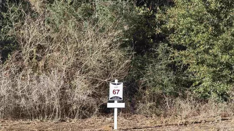 lot67 Straw Bridge Rd, Allentown, FL 32565