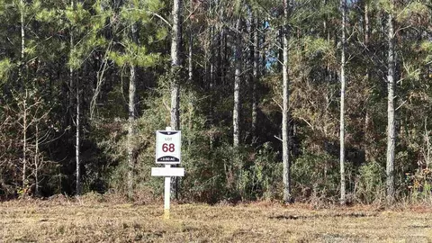 lot68 Straw Bridge Rd, Allentown, FL 32565