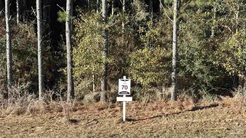 lot70 Straw Bridge Rd, Allentown, FL 32565