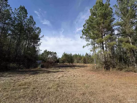 10485 Wiggins Grove Rd, Jay, FL 32565