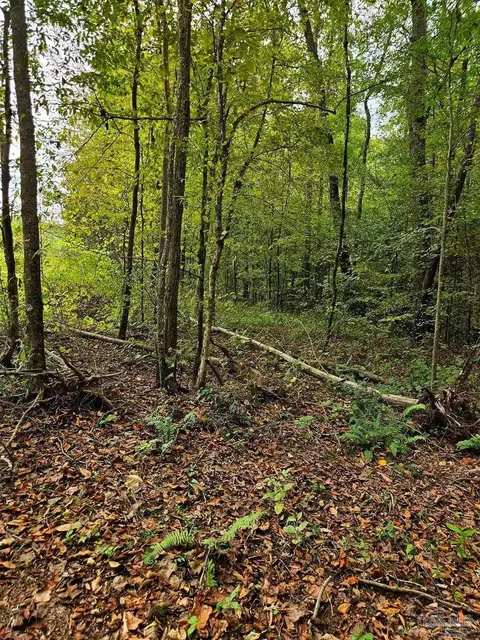 0 County Rd 79, Waterloo, AL 36577 photo 40