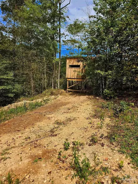 0 County Rd 79, Waterloo, AL 36577 photo 22