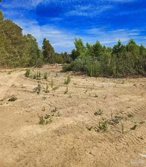 0 County Rd 79, Waterloo, AL 36577 photo 26