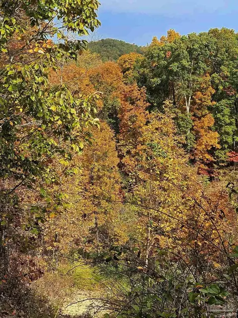 0 County Rd 79, Waterloo, AL 36577 photo 39