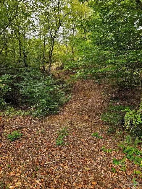 0 County Rd 79, Waterloo, AL 36577 photo 30