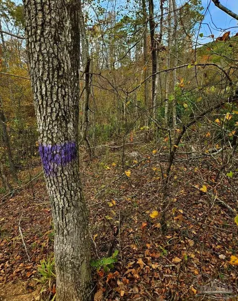 0 County Rd 79, Waterloo, AL 36577 photo 36