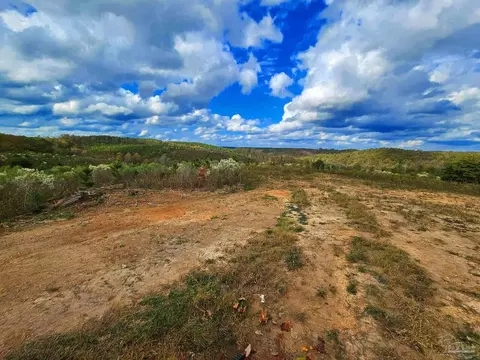 0 County Rd 79, Waterloo, AL 36577