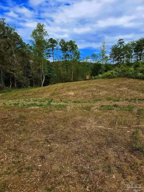 0 County Rd 79, Waterloo, AL 36577 photo 43
