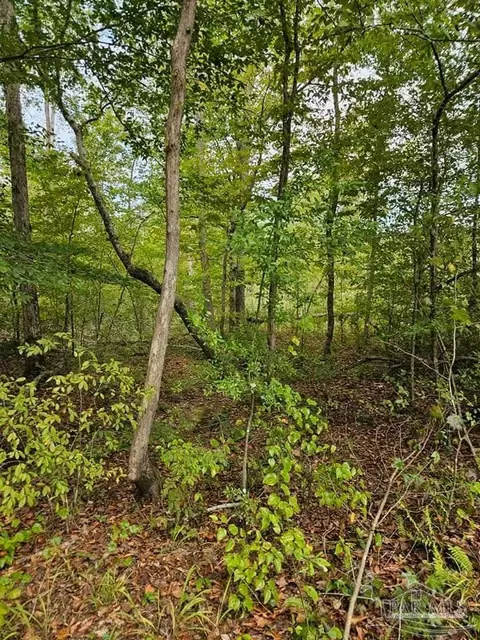 0 County Rd 79, Waterloo, AL 36577 photo 37